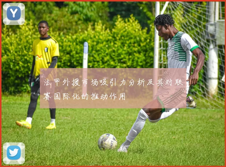 法甲外援市场吸引力分析及其对联赛国际化的推动作用