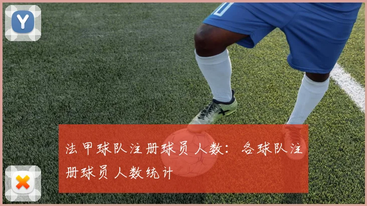 法甲球队注册球员人数：各球队注册球员人数统计