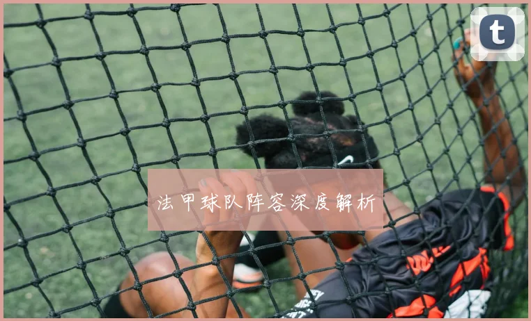 法甲球队阵容深度解析