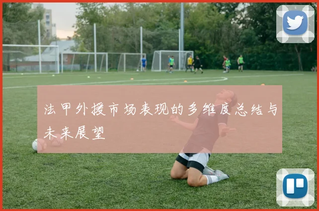 法甲外援市场表现的多维度总结与未来展望